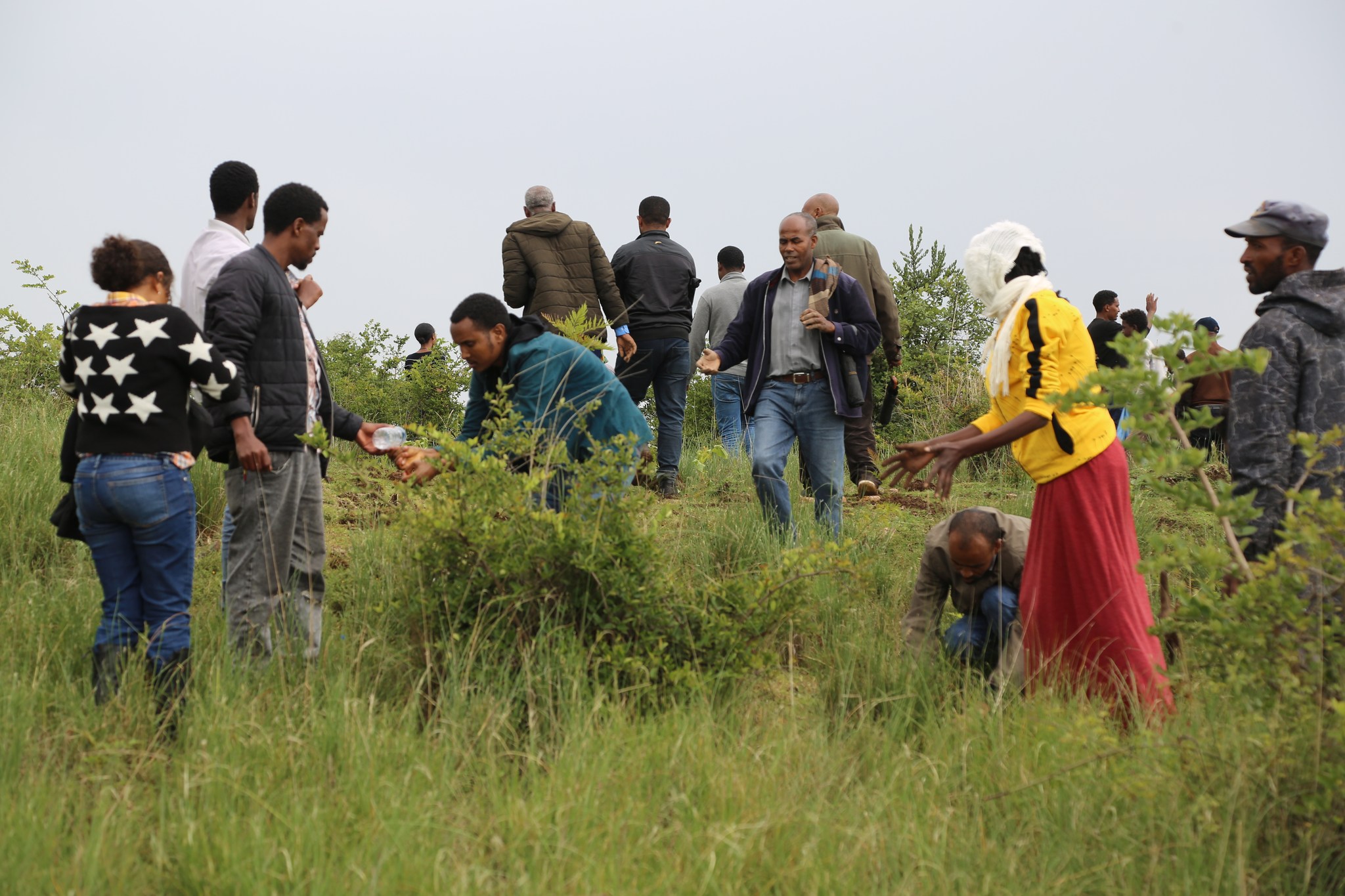 የኢፊዲሪ ንግድና ቀጠናዊ ትስስር ሚኒስቴር እና ተጠሪ ተቋማት የችግኝ ተከላ ፕሮግራም አካሄዱ፡፡